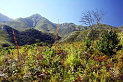0215 Swellendam IMG_2921.jpg
